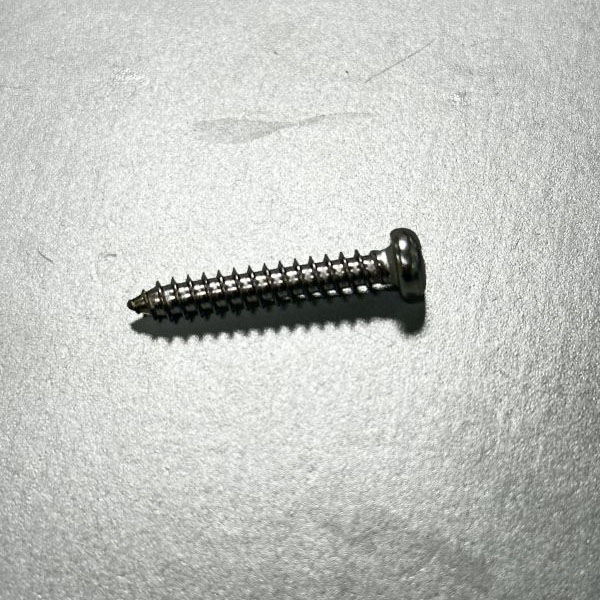 Stainless Steel 304 Philip Screws Self-tapping Screw